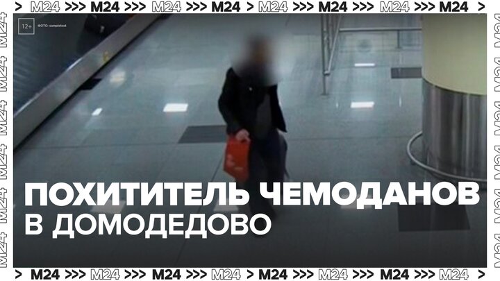 Транспортная полиция задержала похитителя чемоданов в Домодедово - Москва 24