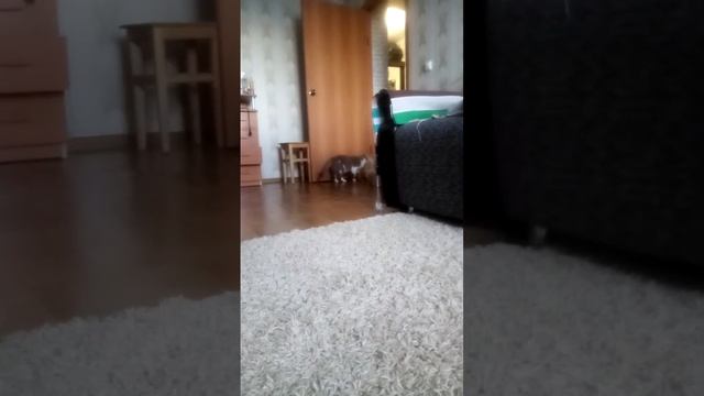 24 декабря 2020 г. смотреть онлайн