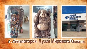 Музей Мирового океана. Калининградская область. Город Светлогорск
