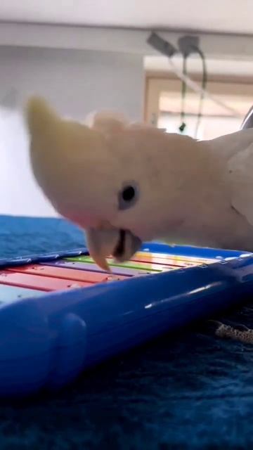 С добрым утром!            Музыкальное настроение!🥰 смотреть онлайн