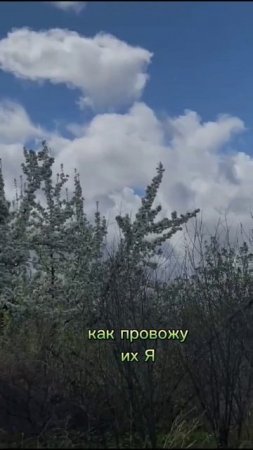 ты что выберешь?