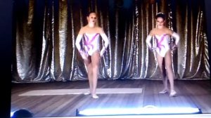 Цирковая двойка , цирк