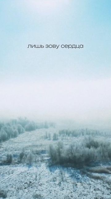 Продолжение в описании👇🏻