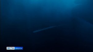 Кино о силе духа, дружбе и любви. Лидером проката в кинотеатрах страны остается фильм "Кракен"