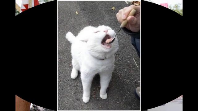 Радуйся жизни смелее