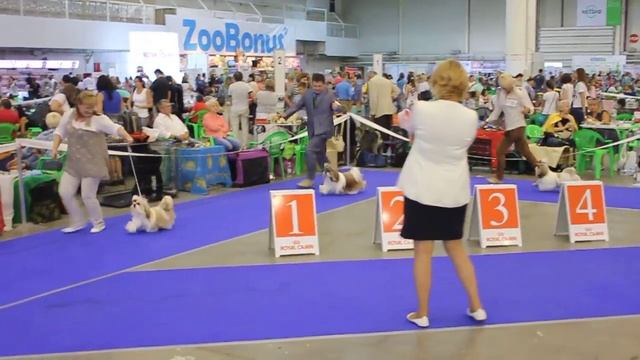 Киев 28.08.2015 ВОВ смотреть онлайн