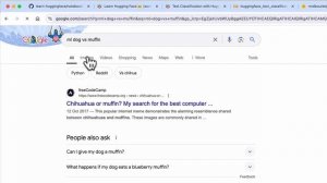 23. Turning Our Predictions into Prediction Probabilities with PyTorch - Zero - 1920x1080 839K