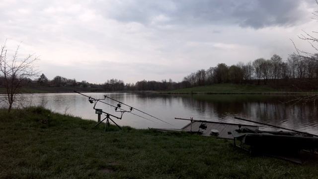 Весняна риболовля коропа на водоймі Підкова з використанням флет-фідера