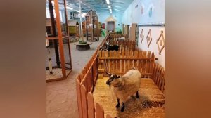 #хищники #совы #рыси #взоопаркезимой #братьянашименьшие #прогулкапозоопарку #взоопаркезимой #звери #