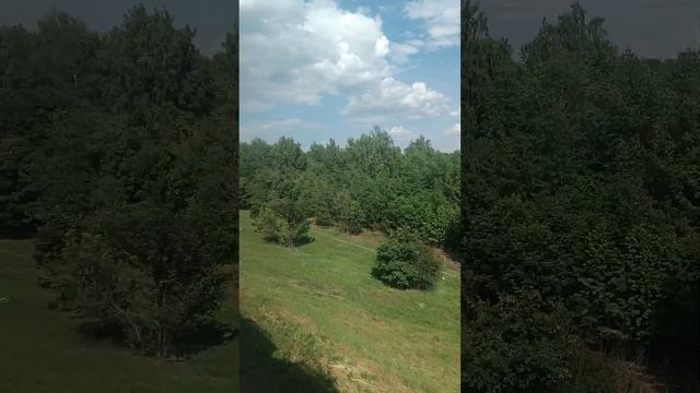 Бутово Красный Строитель стройка развязок со МКАДом шоссе жд путями хордой и всем остальным смотреть онлайн