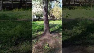 20250429_154748