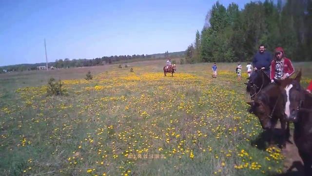 Джигиты