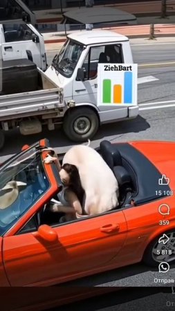 А я сяду в кабриолет