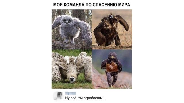 Лютые приколы. Моего деда укусил паук смотреть онлайн