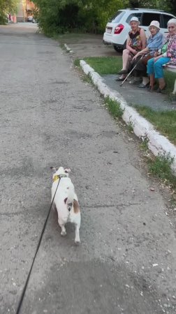 Бабушки старушки 👵😊