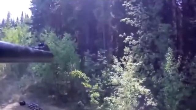 Охота на медведя   Bear Hunting # 2
