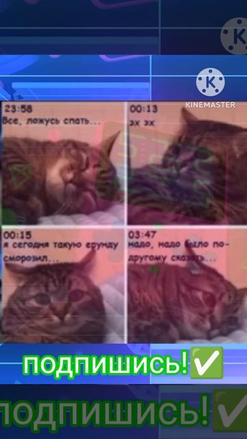 часто вспоминаю свои стыдные поступки мемы жиза приколы коты