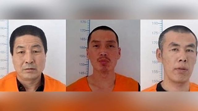 Real Prison Escapes Caught on Camera смотреть онлайн