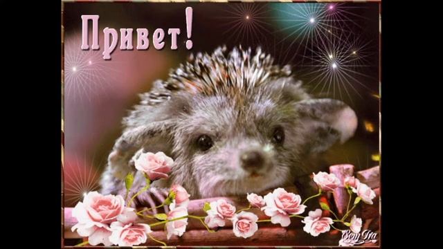 #ПРИВЕТ #ВОСКРЕСЕНЬЕ #ПОСЫЛАЮ_ВСЕМ_ПРИВЕТ #shorts #короткое_видео