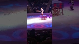 загадка старой игрушки цирк Иванов 2023год