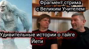 Невероятная история в тайге  Йети