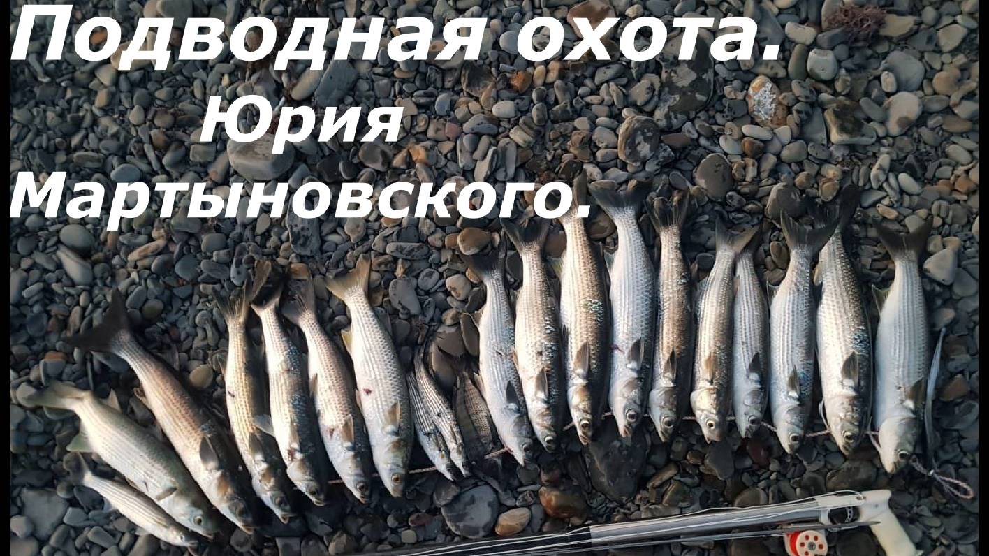 Подводная охота Юрия Мартыновского.