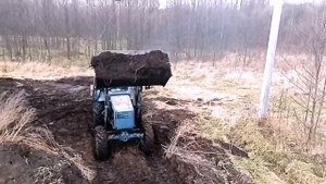 Погрузка навоза. Трактор Т-40А, ЗИЛ-130.