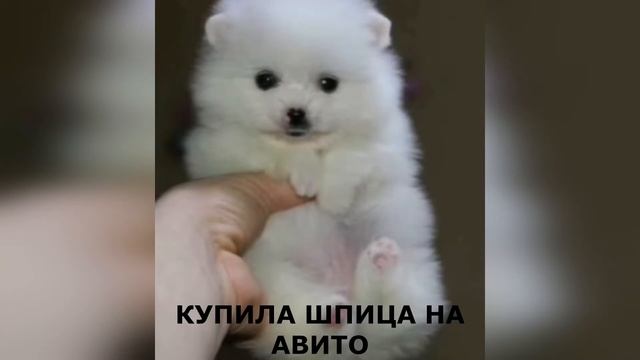 10 МИНУТ СМЕХА / ЗАСМЕЯЛСЯ - ПОДПИСАЛСЯ / ЛУЧШИЕ ПРИКОЛЫ АВГУСТ 2021 / ТЕСТ НА ПСИХИКУ!!! #45