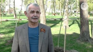 Высадка деревьев в сквере ветеранов