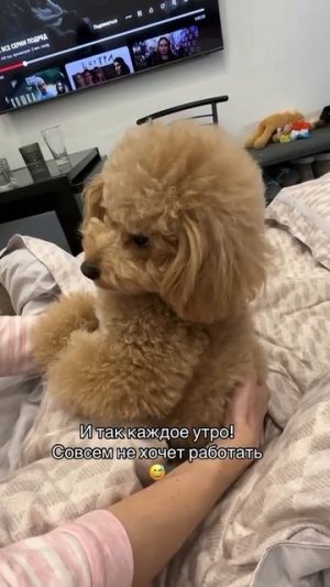 Как ОТМЕНИТЬ понедельник?
