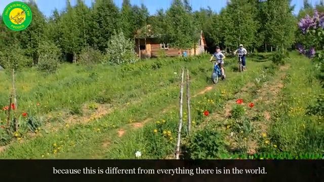 Владимир Мегре об образе родовое поместье Vladimir Megre About the Family Homestead Image смотреть онлайн
