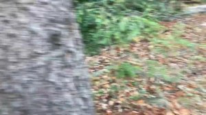 Заброшенный санаторий «Узень»