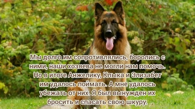 Комикс 