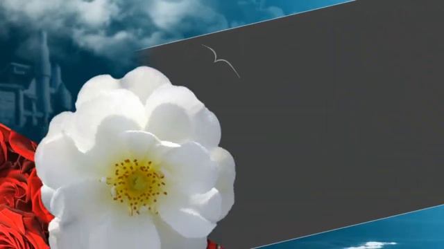 ПОЛЮБИ МЕНЯ ТАКОЙ смотреть онлайн