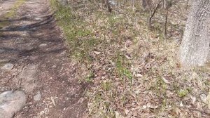 В поисках глины. 30.04.2025г.