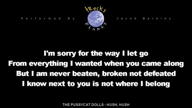 Pussycat Dolls   Hush, Hush Karaoke смотреть онлайн