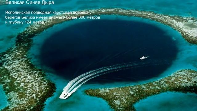 "Мир вокруг нас" Храмова Алиса 3А класс смотреть онлайн