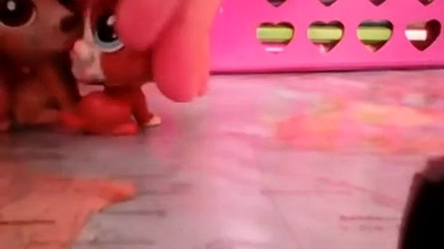 Стар и Марко песня цылуй смотреть онлайн