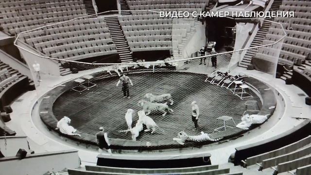 Жестокость в Большом Московском Государственном цирке (2023) FHD смотреть онлайн