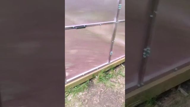 Розовый поликарбонат