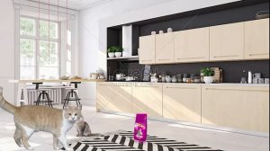 Киборг убийца или анти-реклама вискаса