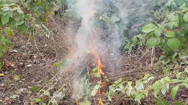 Каждый костёр когда то догорит Огонь Осенние костры смотреть онлайн