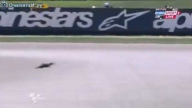 Выдра перед мотоциклистом:D наш бы задавил смотреть онлайн