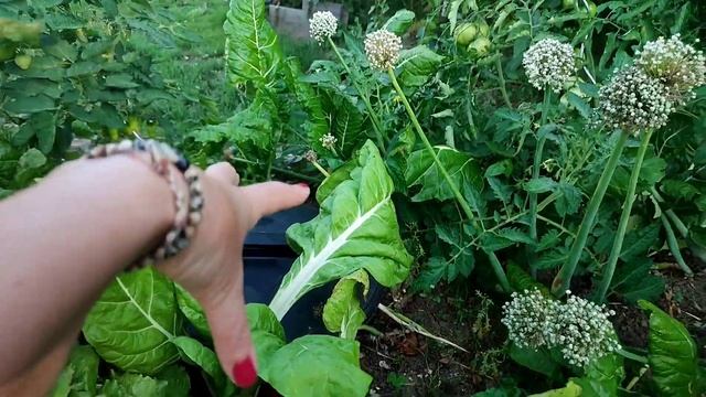 Вот вы и нашли меня! смотреть онлайн