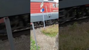 очень громкий гудок поезда!