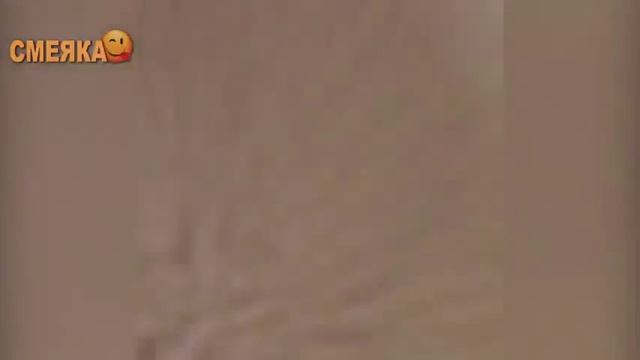 Приколы №24 смотреть онлайн