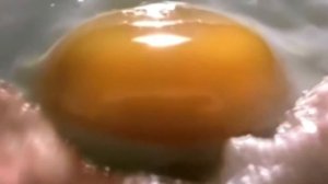 Поехавшие рекламы и пахом Rytp