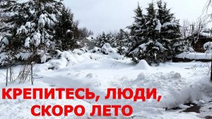 ❄️ Зима в апреле: что будет с рассадой и посевами в открытом грунте? Как спасти растения?