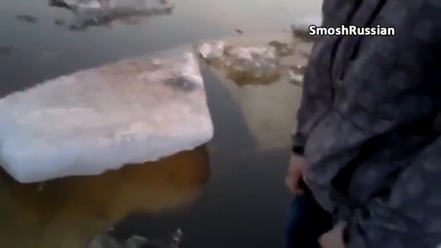 Самые смешные приколы 2016 #39 Ржака до слез смотреть онлайн