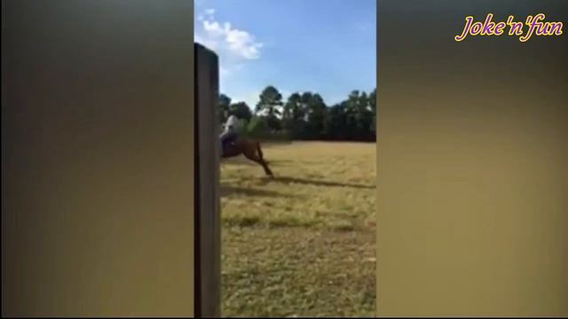 Лучшие Приколы с Животными - Funny Animals #5 смотреть онлайн